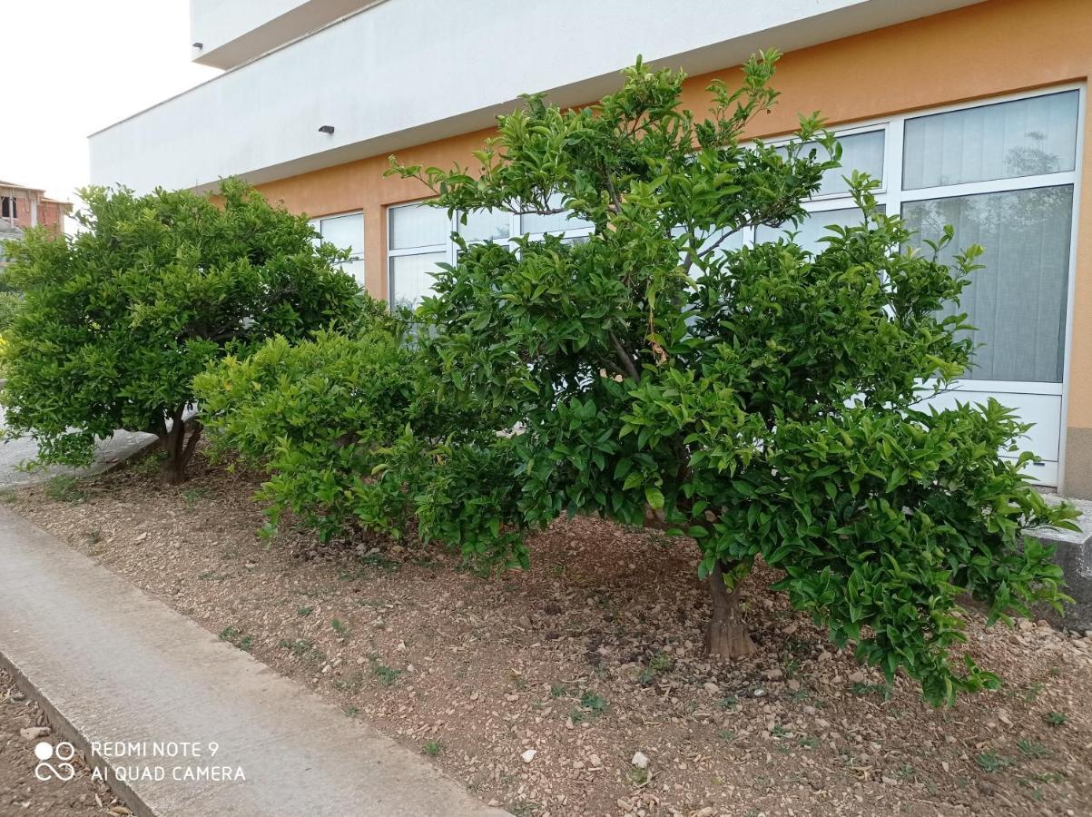 Studio Apartment With Balcony โตรกีร์ ภายนอก รูปภาพ